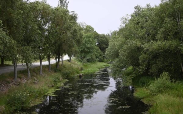 A Xunta prohibirá durante dous anos novas granxas na conca do río Limia