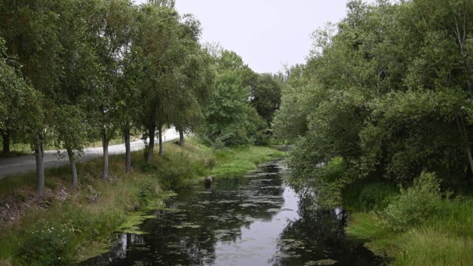 A Xunta prohibirá durante dous anos novas granxas na conca do río Limia