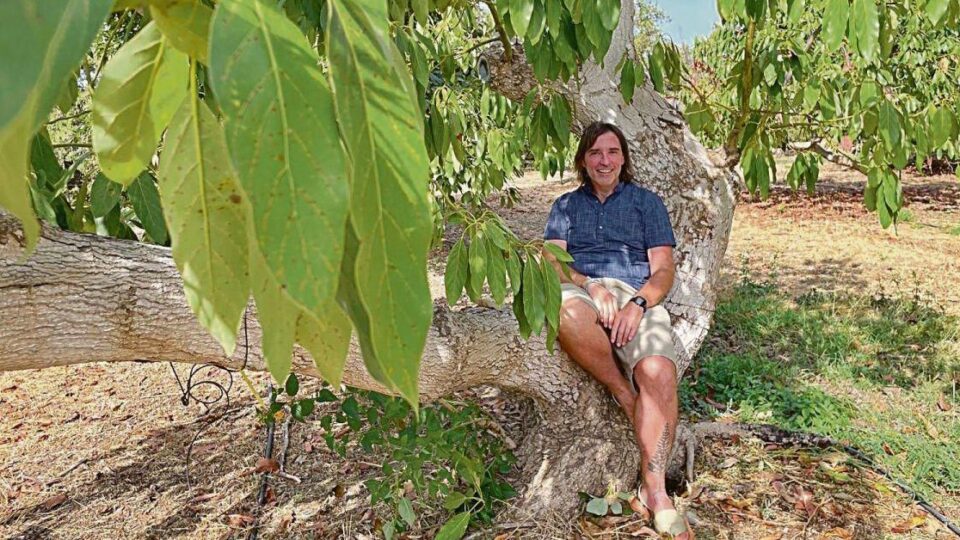 Do rural de Trasmiras aos laboratorios de Harvard: a historia do científico que estuda como salvar os cultivos