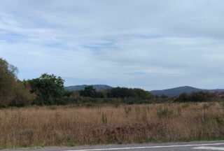 Un concelleiro de Calvos de Randín esixe máis limpeza nos montes tras o incendio de setembro