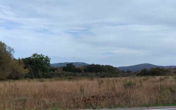 Un concelleiro de Calvos de Randín esixe máis limpeza nos montes tras o incendio de setembro