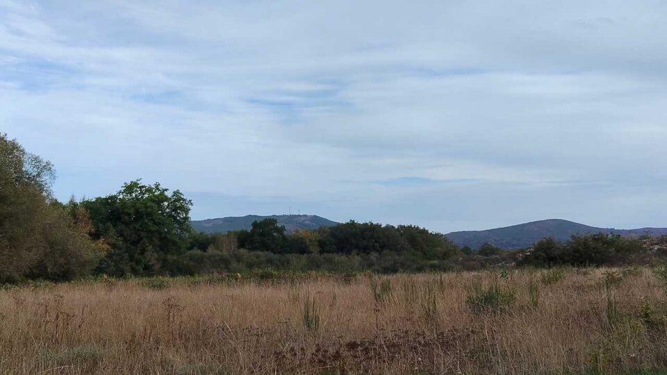Un concelleiro de Calvos de Randín esixe máis limpeza nos montes tras o incendio de setembro