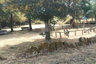 Sandiás limpa os seus camiños e recorda aos veciños a súa obriga de rozar as fincas