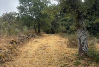 O Concello de Sandiás intensifica a limpeza de camiños e montes para evitar incendios