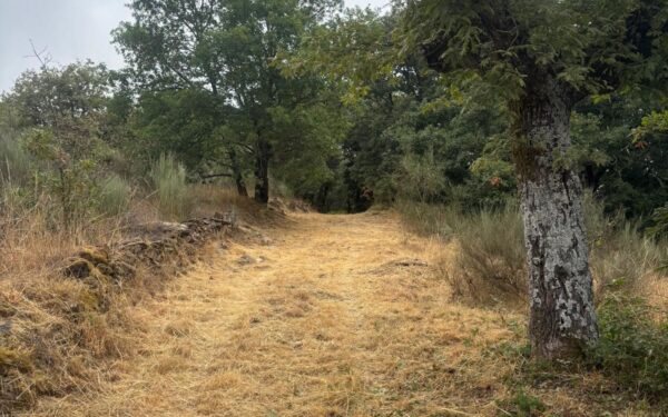 O Concello de Sandiás intensifica a limpeza de camiños e montes para evitar incendios