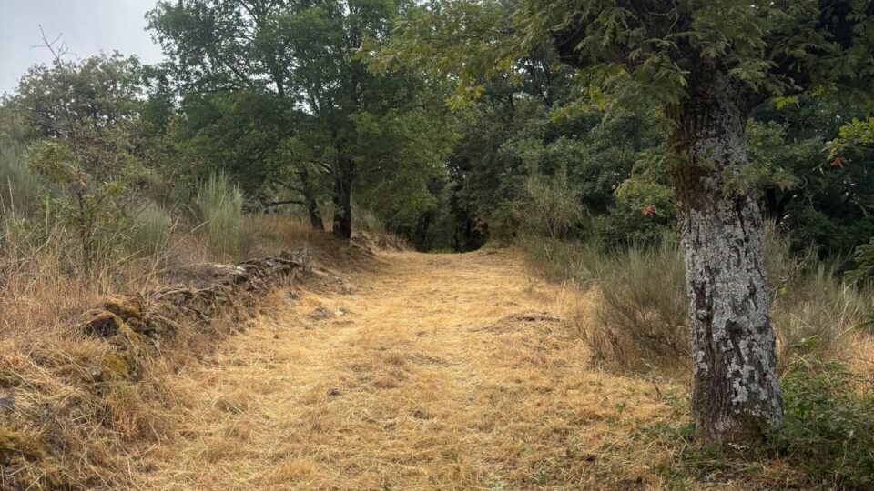 O Concello de Sandiás intensifica a limpeza de camiños e montes para evitar incendios