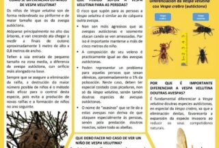 Vixilancia e control fronte a vespa velutina