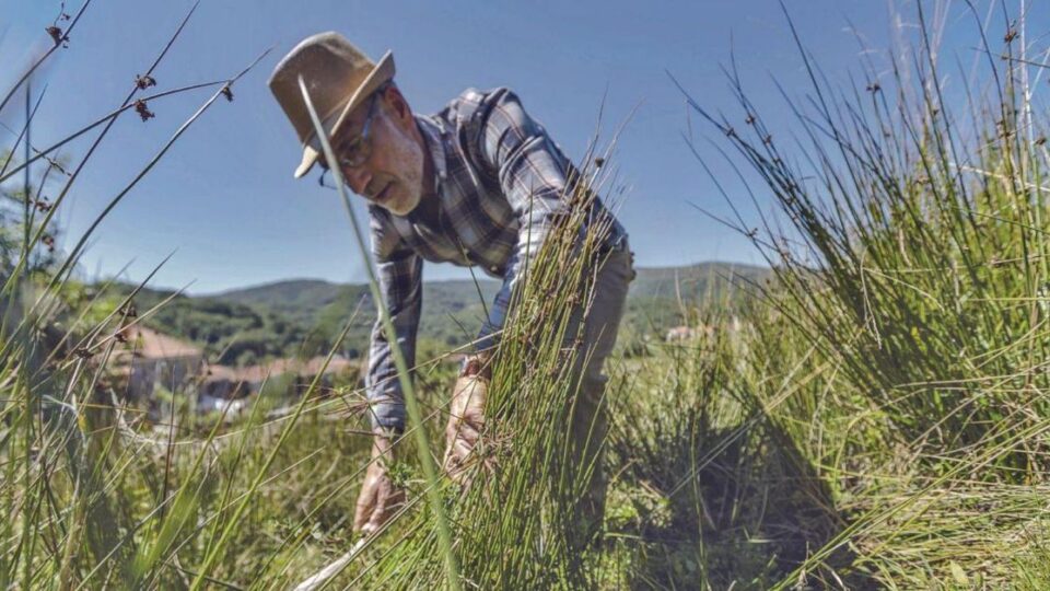 A tradición das corozas: así se elabora o impermeable vexetal galego en Calvos de Randín
