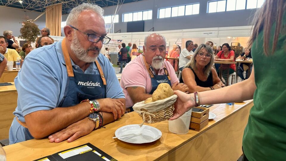 Xinzo de Limia acolle a II Cata Nacional de Pataca este venres