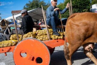 Vilar de Barrio celebra con éxito a súa 47ª Festa da Pataca