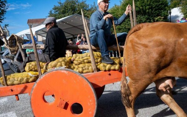 Vilar de Barrio celebra con éxito a súa 47ª Festa da Pataca