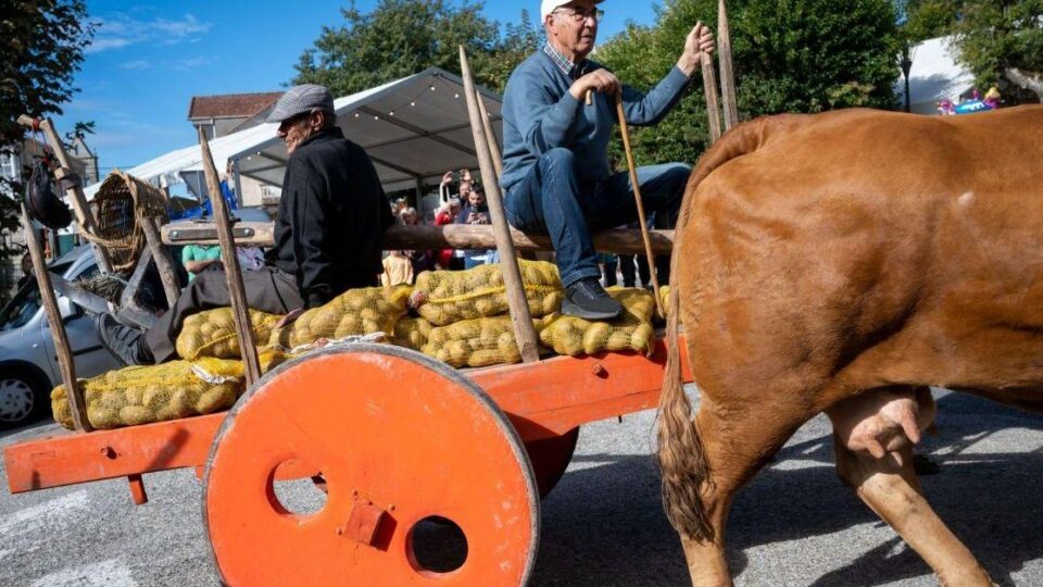 Vilar de Barrio celebra con éxito a súa 47ª Festa da Pataca