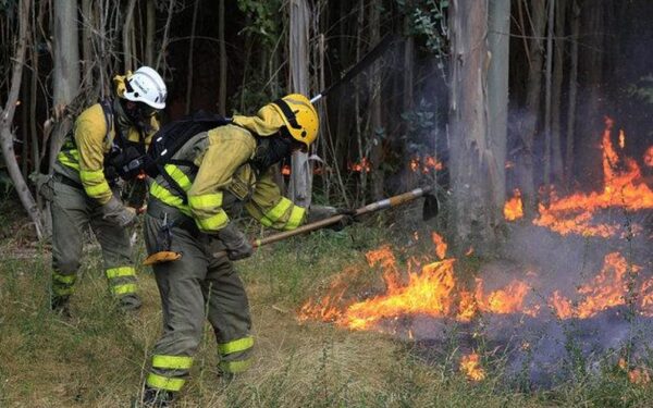 Un pequeno incendio afecta ao Parque do Xurés en Calvos de Randín