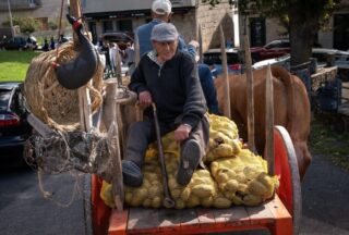 Vilar de Barrio celebra a Festa da Pataca