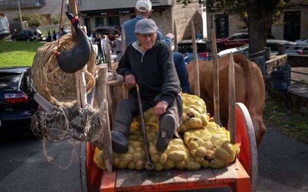 Vilar de Barrio celebra a Festa da Pataca