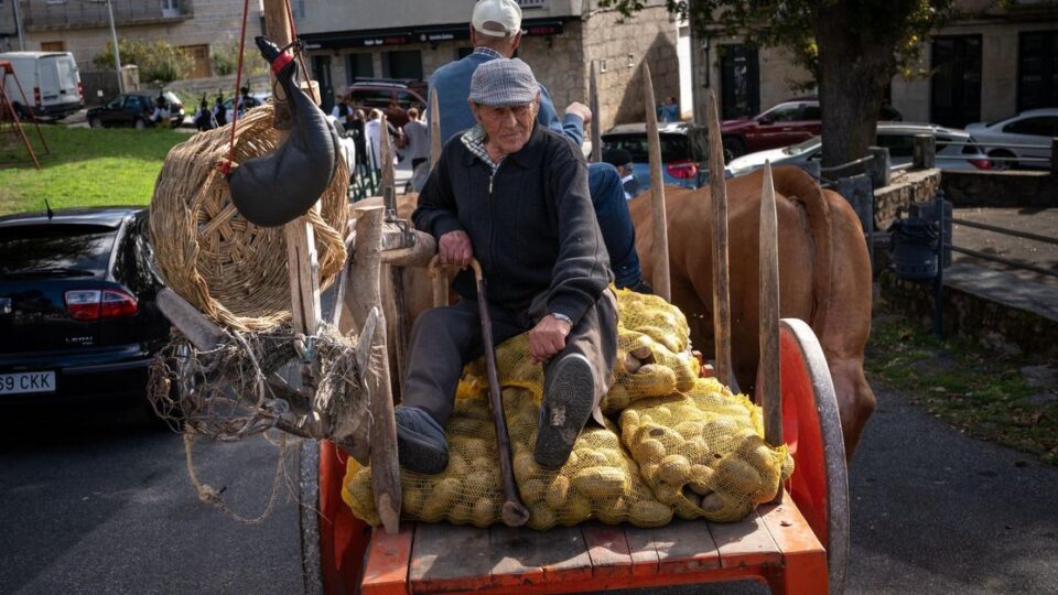 Vilar de Barrio celebra a Festa da Pataca