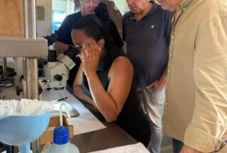 A Xunta lanzará axudas de 3,6 millóns para compensar o custo dos fertilizantes e o gasóleo agrícola