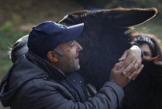 Terapias con burros en San Salvador dos Penedos para persoas con diversidade funcional