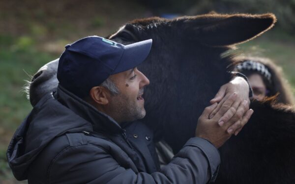 Terapias con burros en San Salvador dos Penedos para persoas con diversidade funcional