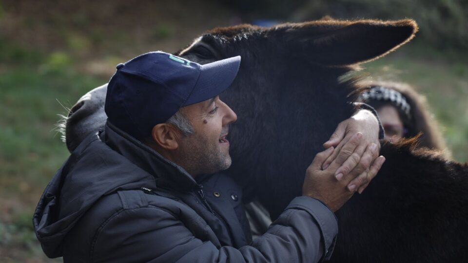 Terapias con burros en San Salvador dos Penedos para persoas con diversidade funcional