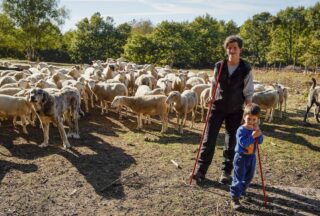Tania Castiñeiras comeza a traballar nunha gandería de ovellas tras formarse na Escola de Pastores